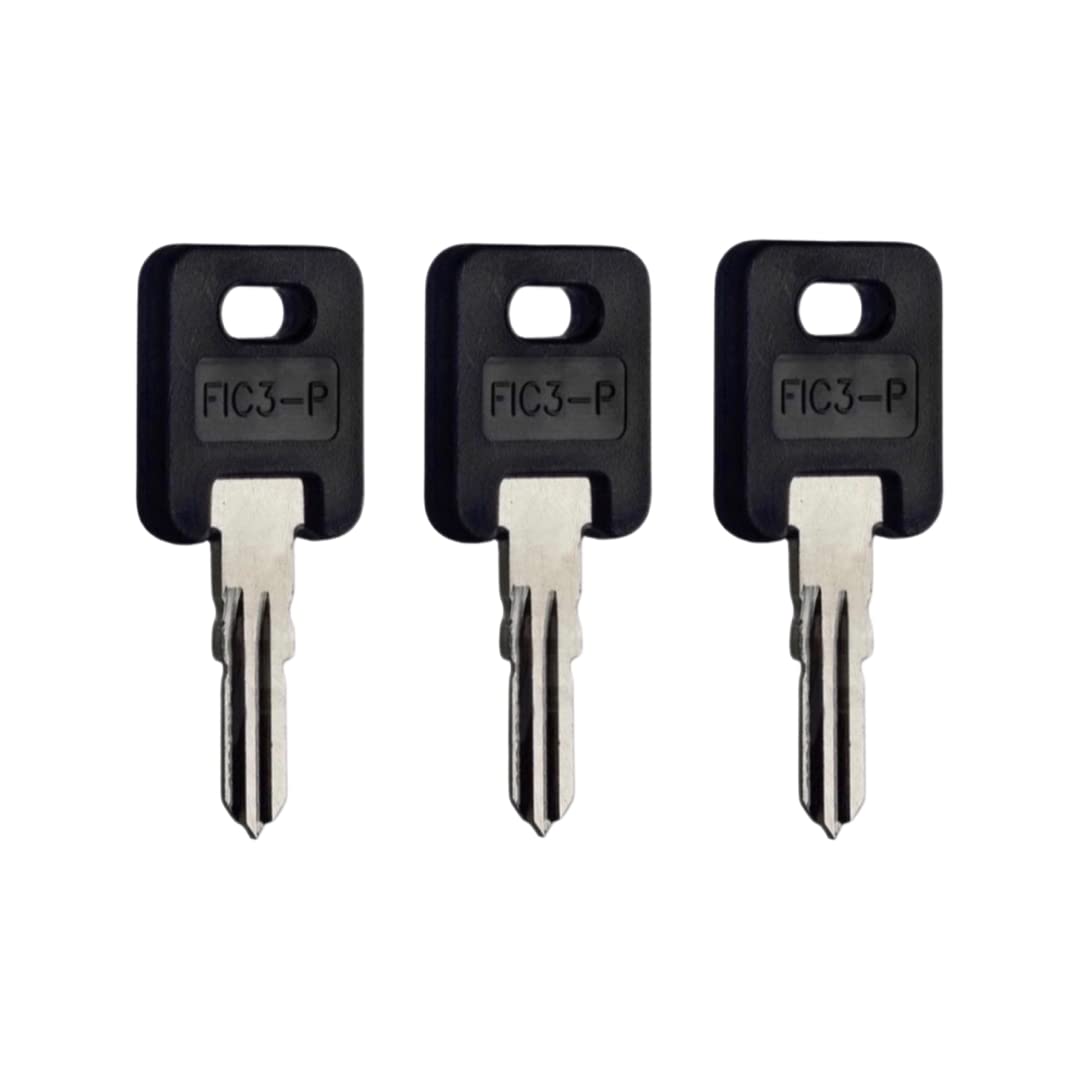 Amazon.com: Global Link G369 Purple RV Keys (3 Keys) : Automotive